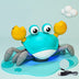 Moving Musical Crab Rechargeable Pet Musical Toys